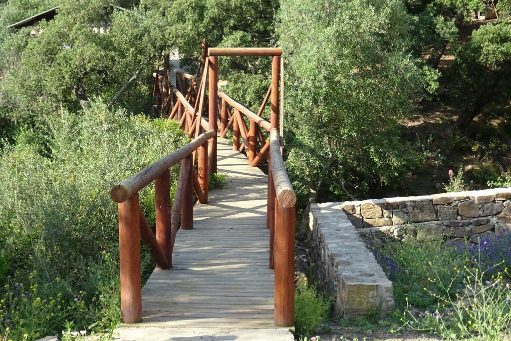 Las Lomillas Reserva Ecologica * Alcalá de los Gazules